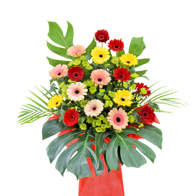 Brighter Start| Fresh Flower Grand Opening Stand| Same Day Delivery