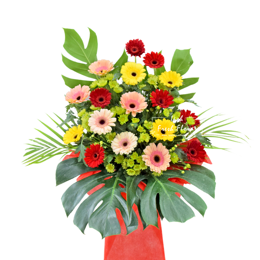 Brighter Start| Fresh Flower Grand Opening Stand| Same Day Delivery