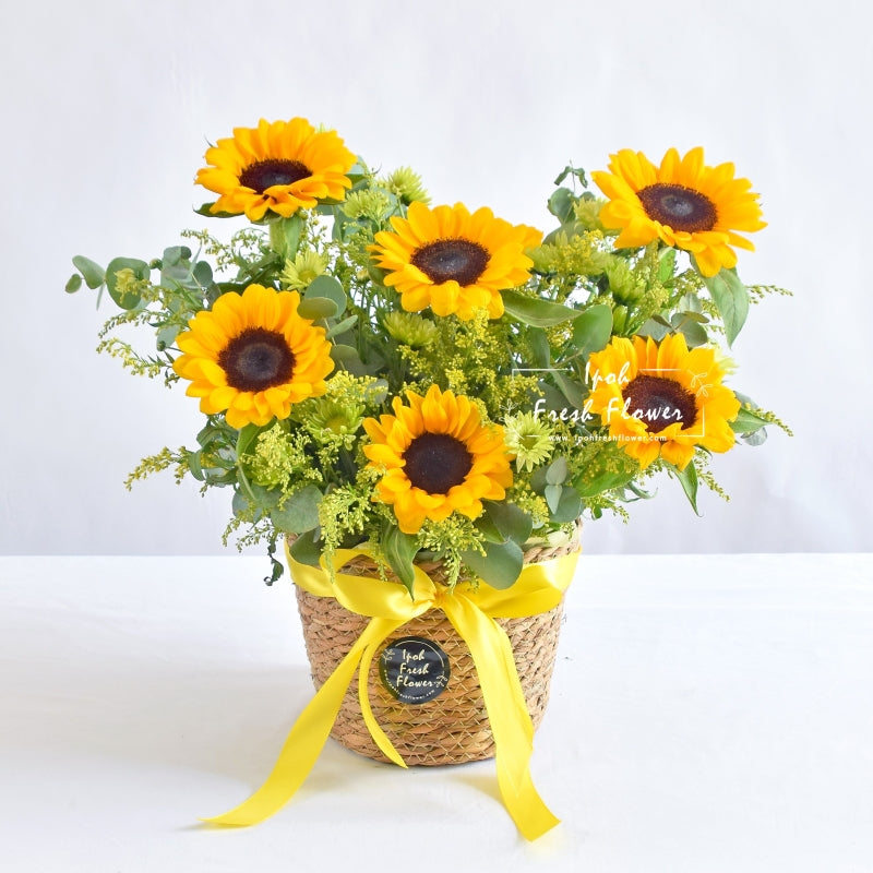 Suntella| Fresh Flower Sunflower Basket| Same Day Delivery