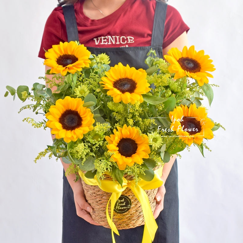 Suntella| Fresh Flower Sunflower Basket| Same Day Delivery