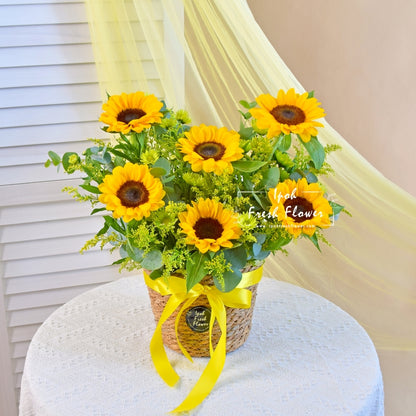 Suntella| Fresh Flower Sunflower Basket| Same Day Delivery